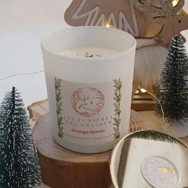 BOUGIE Orange épicée