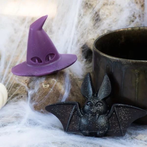 Chapeau de Sorcière et Chauve-souris
