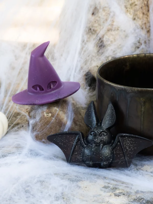 Chapeau de Sorcière et Chauve-souris